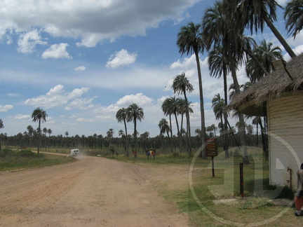 Ingreso al Parque Nacional Palmar de Colón